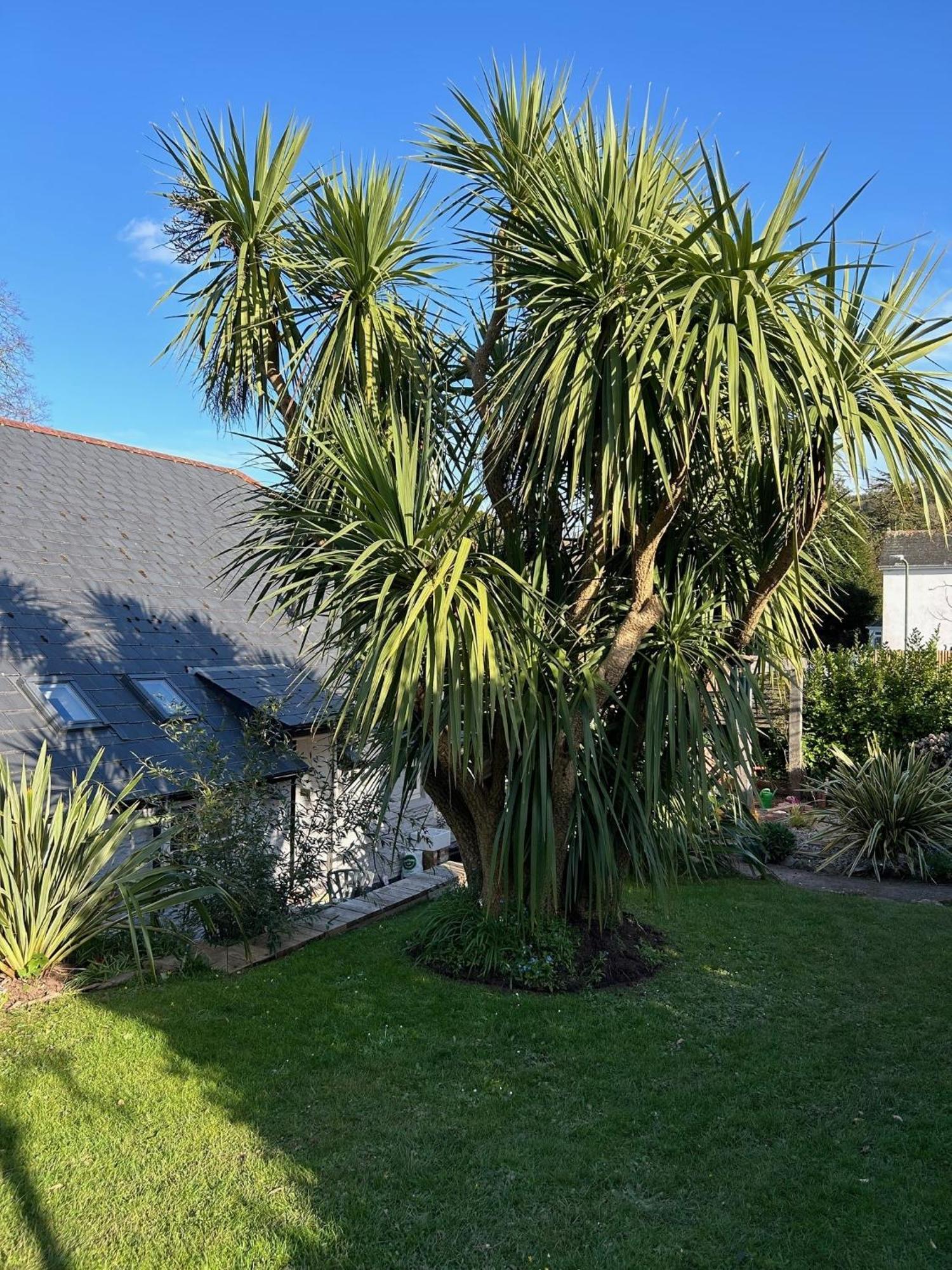 Rosedale A Charming Detached 4 Bedroom Cottage. ブリックハム エクステリア 写真